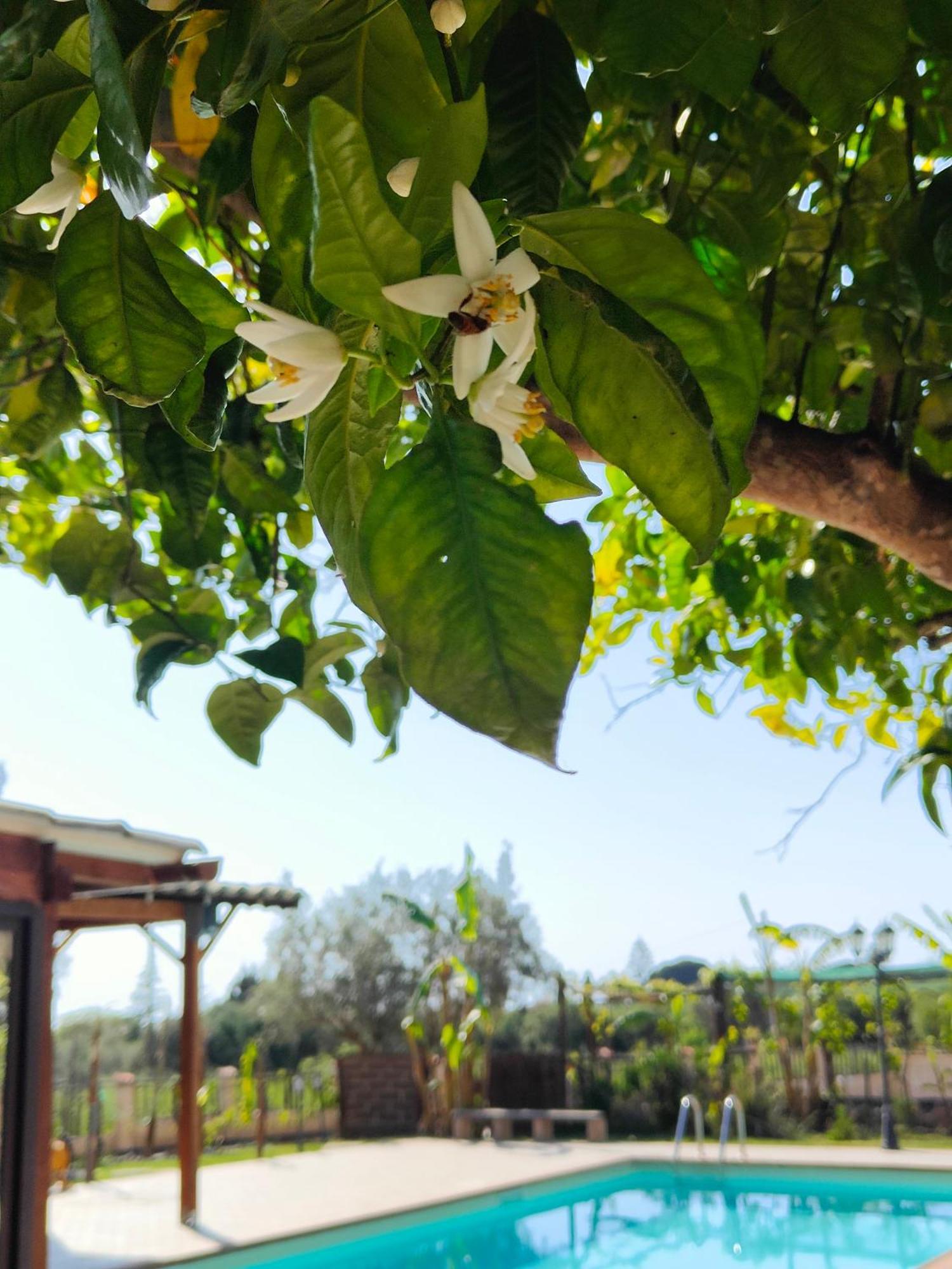 Agriturismo Casa Del Contadino Drapia Bagian luar foto